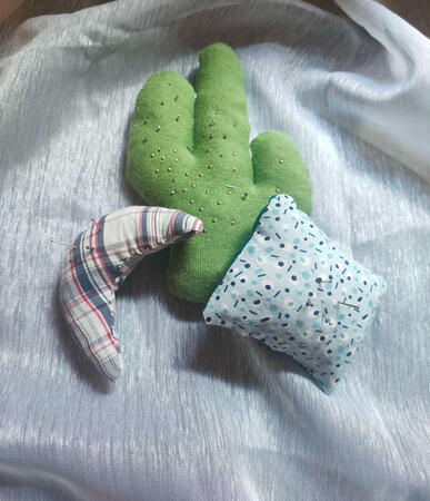 Needles Cases